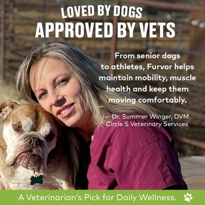 Show full view: Furvor Advanced Mobility Beef Concentrated Digestive Health High-Protein Liquid Dog Food Topper, 16-oz bottle slide 8 of 13