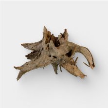 Driftwood