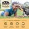 Show in main carousel: ACANA Free-Run Poultry Wholesome Grains Dry Dog Food, 32-lb bag slide 5 of 14
