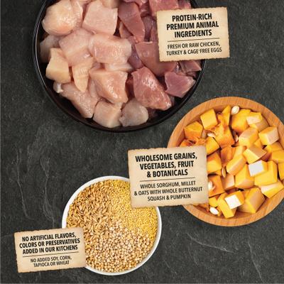 Show full view: ACANA Free-Run Poultry Wholesome Grains Dry Dog Food, 32-lb bag slide 4 of 14