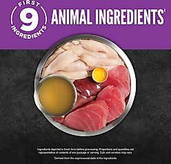 ORIJEN Chunks & Shreds Kitten Chicken & Tuna Entree Wet Cat Food, 3-oz can, case of 12 slide 2 of 6