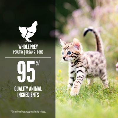 Show full view: ORIJEN Premium Chicken & Salmon Entree in Bone Broth Pate Wet Kitten Cat Food, 3-oz can, case of 24 slide 6 of 12