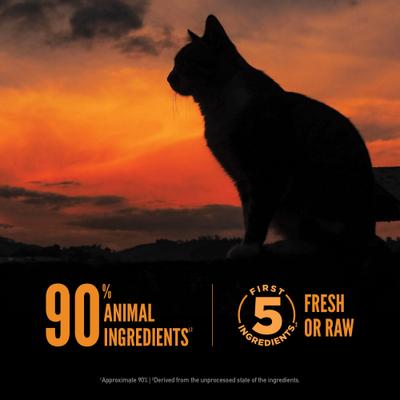 Show full view: ORIJEN Wild Reserve Free-Run Chicken & Wild-Caught Fish Dry Cat Food, 3.5-lb bag slide 6 of 11