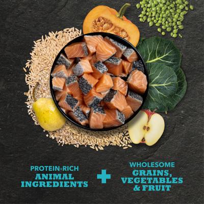 Show full view: ACANA Classics Salmon & Barley Dry Dog Food, 22.5-lb bag slide 4 of 12