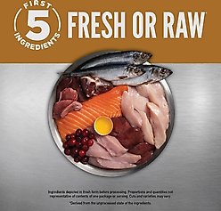 ORIJEN Original Grain-Free High-Protein Premium Dry Cat Food, 4-lb bag slide 2 of 9