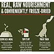 Show in main carousel: ORIJEN Tundra Epic Bites Freeze-Dried Dry Dog Food, 6-oz bag slide 7 of 18