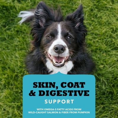 Show full view: ACANA Chewy Salmon with Skin, Coat, & Digestive Support Strips Dog Treats, 4-oz bag slide 5 of 11