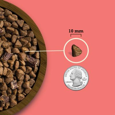 ACANA Butcher’s Favorites Grain-Free Farm-Raised Beef & Liver Recipe Dry Dog Food