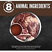 Show in main carousel: ORIJEN Real Meat Shreds Regional Red Stew Wet Dog Food, 12.8-oz can, case of 12 slide 5 of 13