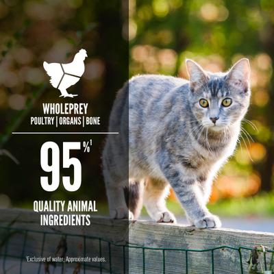 Show full view: ORIJEN Premium Tuna Salmon & Beef Entree in Bone Broth Pate Wet Cat Food, 3-oz can, case of 24 slide 6 of 11