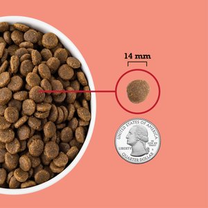 ACANA Red Meat Grain-Free Dry Dog Food, 25-lb bag