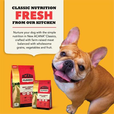 Show full view: ACANA Classics Beef & Barley Dry Dog Food, 22.5-lb bag slide 9 of 12