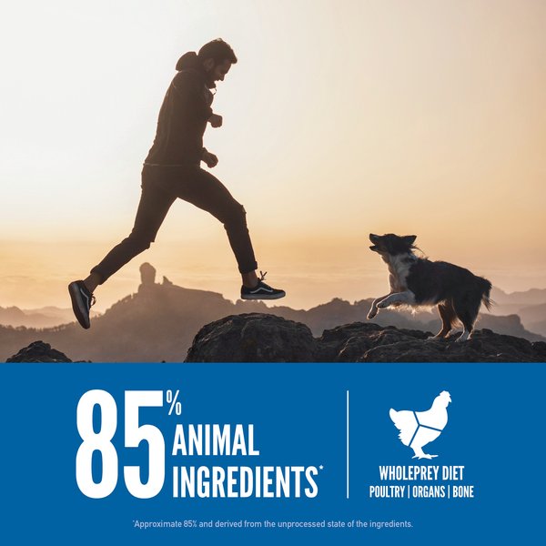 Show full view: ORIJEN Original Grain-Free High-Protein Dry Dog Food, 23.5-lb bag slide 6 of 14