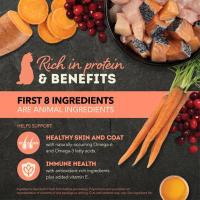 Show full view: ACANA Salmon & Chicken Chunks in Broth Wet Cat Food, 3-oz can, case of 12 slide 4 of 11