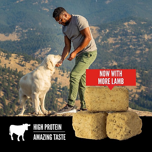 Show full view: ORIJEN Regional Red Grain-Free High-Protein Freeze-Dried Dog Treats, 3.25-oz bag slide 5 of 10