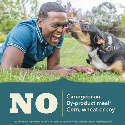 Show full view: ACANA Classics Fish Pate Wet Dog Food, 12.5-oz can, case of 12 slide 4 of 12