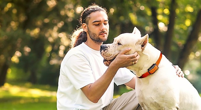 PetSpy Fitness Ring Dog Toy