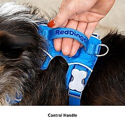 Red Dingo Sport Squiggles Design Reflective Dog Harness, Black, X-Small: 12.2 to 16.9-in chest slide 2 of 9