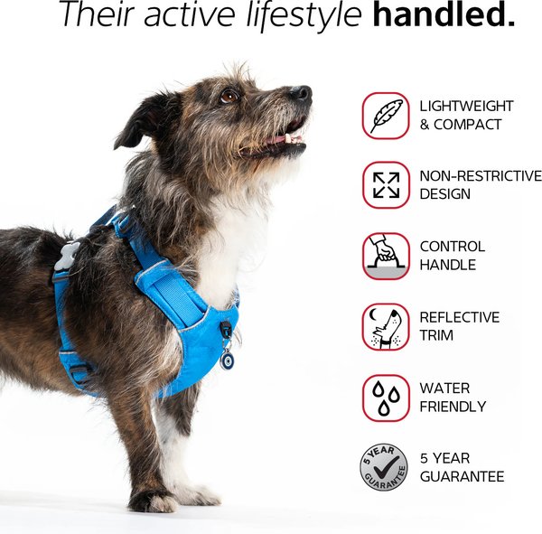 Red Dingo Sport Reflective Dog Harness