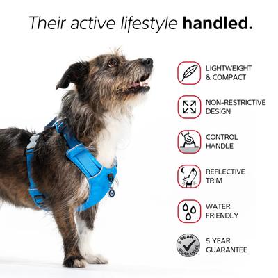 Show full view: Red Dingo Sport Squiggles Design Reflective Dog Harness, Black, Medium: 18.5 to 25.2-in chest slide 3 of 10