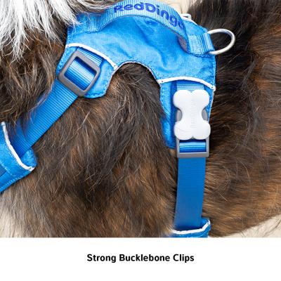 Show full view: Red Dingo Sport Squiggles Design Reflective Dog Harness, Black, Medium: 18.5 to 25.2-in chest slide 5 of 10