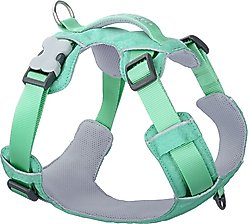 Red Dingo Sport Reflective Dog Harness, Pastel Green, Medium: 18.5 to 25.2-in chest