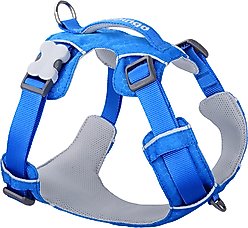 Red Dingo Sport Reflective Dog Harness, Electric Blue, X-Large: 29.5 to 44.1-in chest