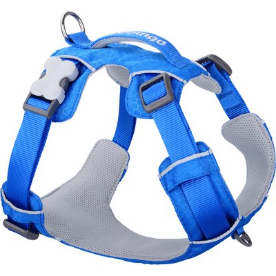 Red Dingo Red Dingo Sport Reflective Dog Harness, Electric Blue, Large: 22.8 to 31.9-in chest