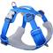 Show in main carousel: Red Dingo Sport Reflective Dog Harness, Electric Blue, X-Large: 29.5 to 44.1-in chest slide 1 of 9
