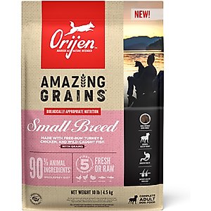 ORIJEN Puppy Large Grain-Free High-Protein Dry Dog Food