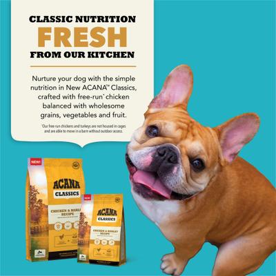 Show full view: ACANA Classics Chicken & Barley Dry Dog Food, 22.5-lb bag slide 9 of 12