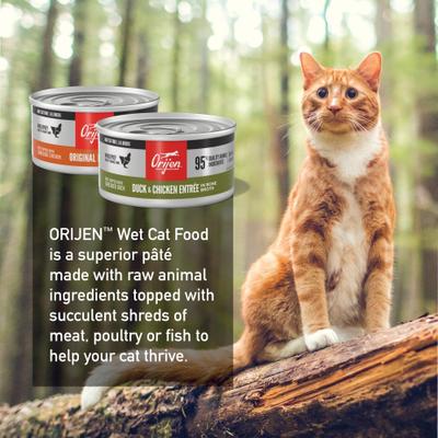 Show full view: ORIJEN Premium Original Variety Pack Duck & Chicken Pate Wet Cat Food Recipes, 3-oz can, case of 12 slide 7 of 10