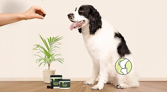 Wuffes Advanced Hip & Joint Supplement with Glucosamine & Chondroitin for Small & Medium Dogs