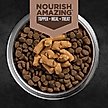 Show in main carousel: ORIJEN Regional Red Epic Bites Freeze-Dried Dry Dog Food, 6-oz bag slide 9 of 17
