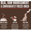 Show in main carousel: ORIJEN Regional Red Epic Bites Freeze-Dried Dry Dog Food, 6-oz bag slide 7 of 17