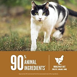 ORIJEN Original Grain-Free High-Protein Premium Dry Cat Food, 12-lb bag slide 2 of 9