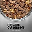 Show in main carousel: ORIJEN Original Premium Variety Pack Chicken Wet Dog Food, 12.8-oz can, case of 6 slide 4 of 10
