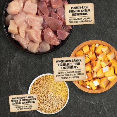 Show full view: ACANA Wholesome Grains Puppy Real Chicken Eggs &Turkey Dry Dog Food, 11.5-lb bag slide 4 of 13