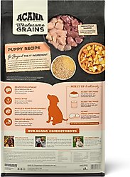 ACANA Wholesome Grains Puppy Real Chicken Eggs &Turkey Dry Dog Food, 22.5-lb bag slide 2 of 9