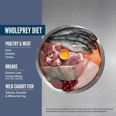 Show full view: ORIJEN Guardian Senior Grain-Free High-Protein Premium Dry Cat Food, 4-lb bag slide 4 of 13