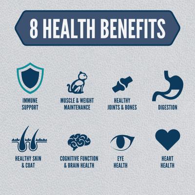 Show full view: ORIJEN Guardian Senior Grain-Free High-Protein Premium Dry Cat Food, 4-lb bag slide 5 of 13