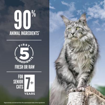 Show full view: ORIJEN Guardian Senior Grain-Free High-Protein Premium Dry Cat Food, 4-lb bag slide 6 of 13