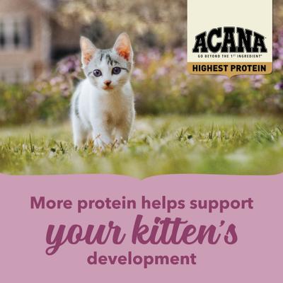 Show full view: ACANA Highest Protein Kitten Dry Cat Food, 4-lb bag slide 6 of 12