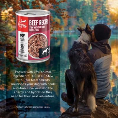 Show full view: ORIJEN Real Meat Shreds Beef Stew Wet Dog Food Recipe, 12.8-oz can, case of 12 slide 9 of 13