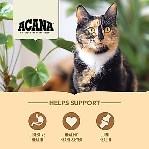ACANA Senior Entrée Free-Run Chicken & Turkey Dry Cat Food, 4-lb bag