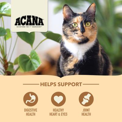 Show full view: ACANA Senior Entree Chicken & Turkey Dry Cat Food, 4-lb bag slide 5 of 12