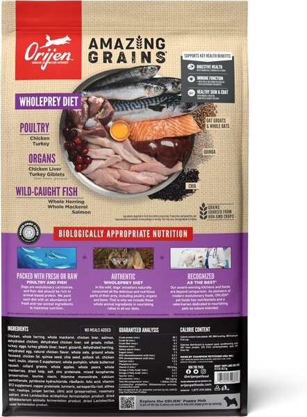 ORIJEN Amazing Grains High-Protein Puppy Large Breed Dry Dog Food