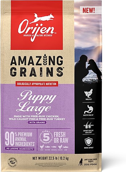 Orijen Puppy Large ドライフード Amazon.com: ORIJEN Amazing Grains High Protein Dry Dog Food