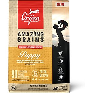 ORIJEN Amazing Grains High-Protein Puppy Dry Dog Food, 4-lb bag