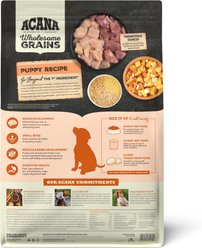 ACANA Wholesome Grains Puppy Real Chicken Eggs &Turkey Dry Dog Food, 4-lb bag slide 2 of 9